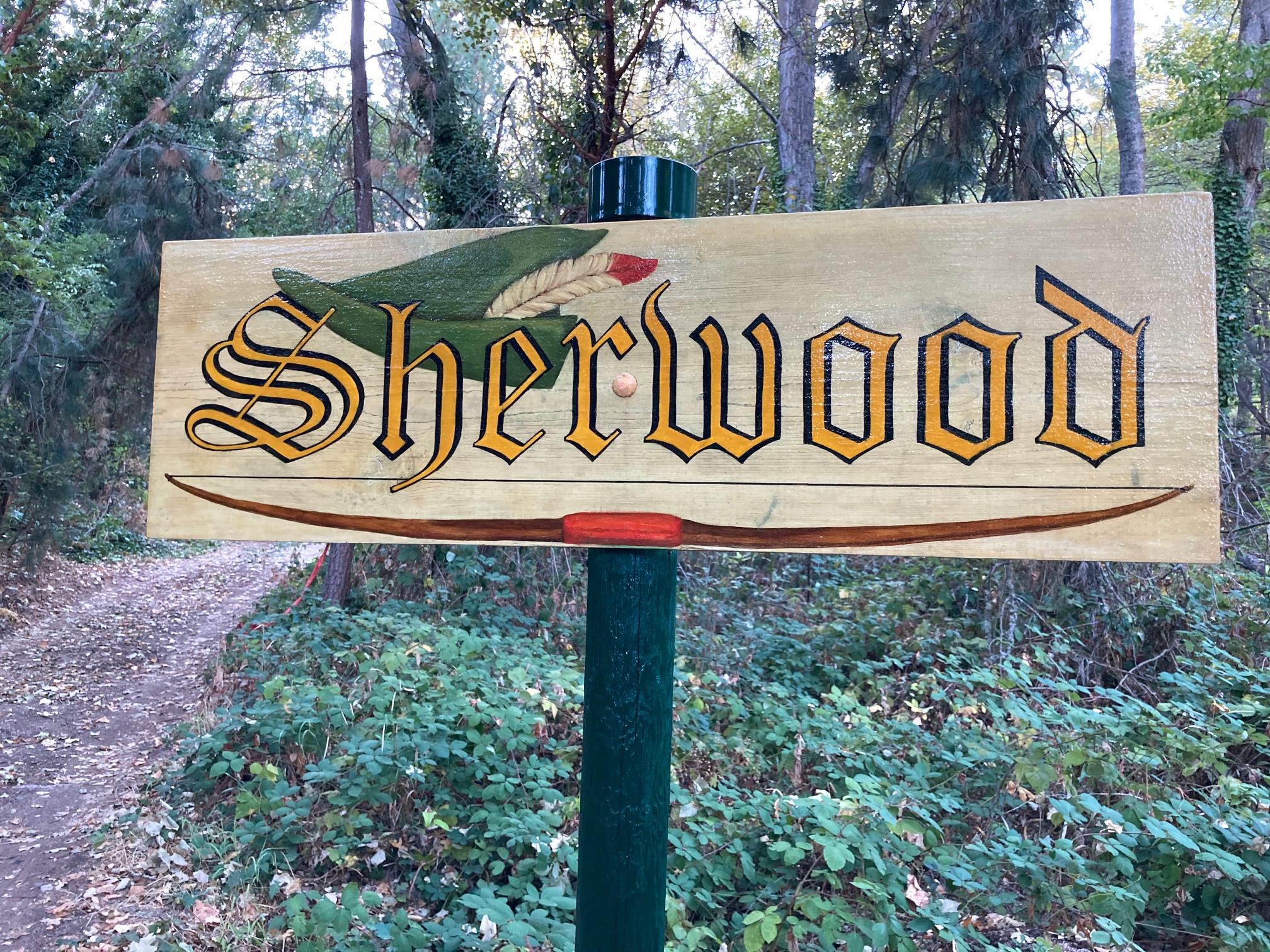 Practice Archery in Sherwood Forest, Ashland, OR